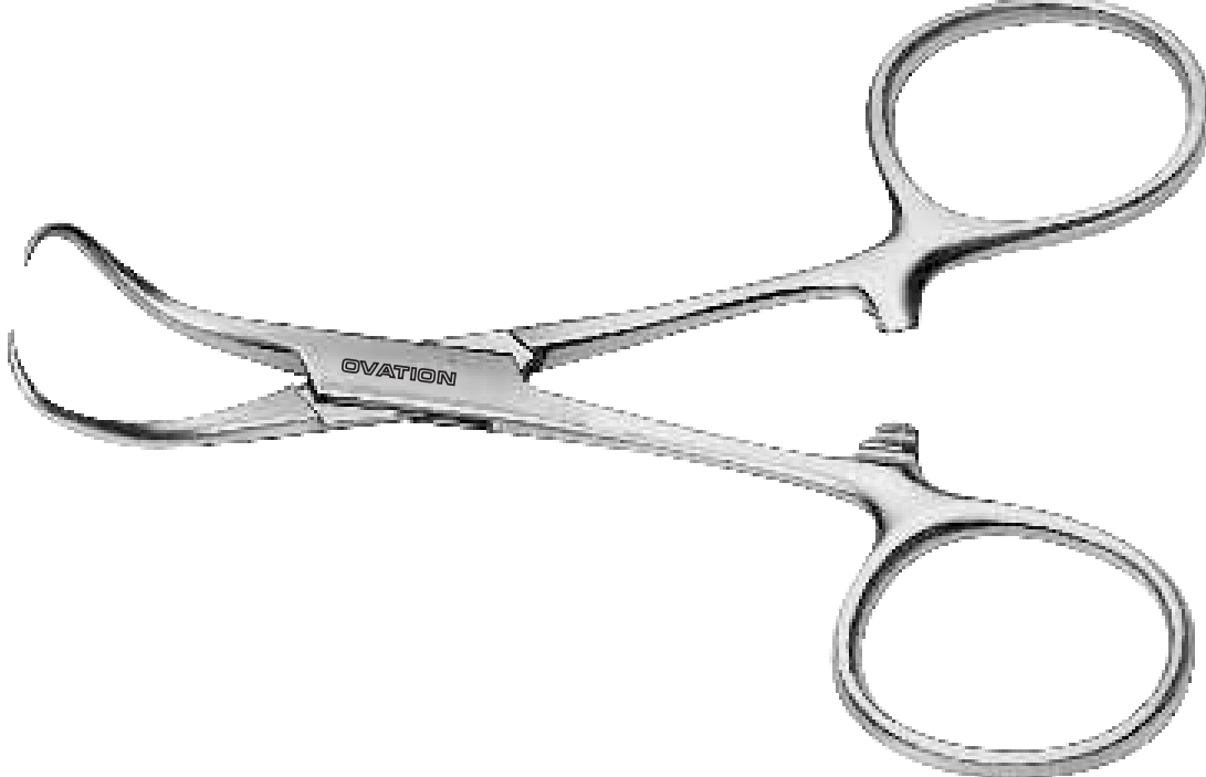 Backhaus Towel Forceps